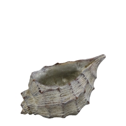 Boho κασπώ τσιμεντένιο κοχύλι μπεζ 23.5x16x13.5 εκ