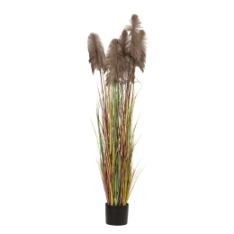 Γλάστρα με διακοσμητικά κλαδιά pampas grass σε καφέ απόχρωση 20x220 εκ