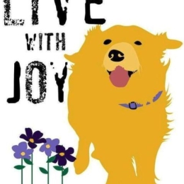 Πίνακας χειροποίητος live with joy 20x25 εκ