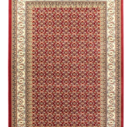 Royal Olympia 5238B RED