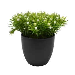 Γλαστράκι Με Φυτό 15cm 797486 Black-White Ankor Πλαστικό