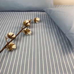 Σεντόνι Stripe 8433 (Σετ 2τμχ) Blue Astron Μονό 175x260cm 100% Βαμβάκι