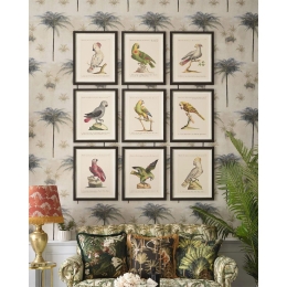 Κάδρο Parrots Of Brasil I FA13211 40X50 MindTheGap Horizontal Ξύλο