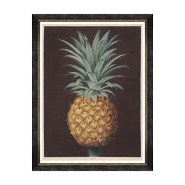 Κάδρο Pineapples Of Antigua - The Havannah Pine By Brookshaw FA13200 60X80 MindTheGap Κάθετοι Ξύλο