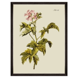 Κάδρο Botanical III FA13226 60x80cm Green MindTheGap Κάθετοι Ξύλο