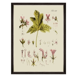 Κάδρο Botanical V FA13228 60x80cm Green MindTheGap Κάθετοι Ξύλο
