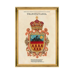 Κάδρο Transylvania Saxon Crest FA13267 35x50cm Multi MindTheGap Κάθετοι Ξύλο