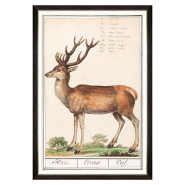 Κάδρο Cervus FA13239 60x90cm Brown-Green MindTheGap Κάθετοι Ξύλο