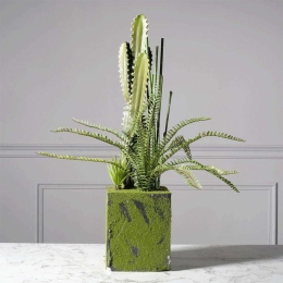 Τεχνητό Φυτό Κάκτος Με Φτέρη 1250-6 35x78cm Green Supergreens Πολυαιθυλένιο