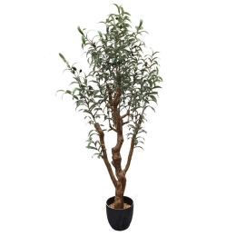 Τεχνητό Δέντρο Ελιά 6660-6 70x70x150cm Green Supergreens Πολυαιθυλένιο