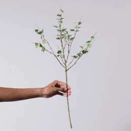 Τεχνητό Κλαδί Κισσός 5441-7 23x65cm Green Supergreens Πολυέστερ