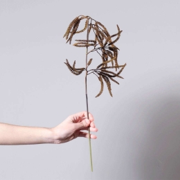 Τεχνητό Κλαδί Φουντουκιά 3741-7 23x61cm Brown Supergreens Πολυέστερ