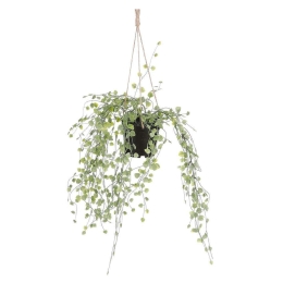 Τεχνητό Κρεμαστό Φυτό String Of Turtles 8151-7 9x9x46cm Green Supergreens Πολυαιθυλένιο