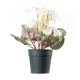 Τεχνητό Φυτό Κυκλάμινο 5570-6 11x28cm Cream Supergreens Πολυέστερ
