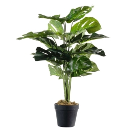 Τεχνητό Φυτό Μονστέρα Minima 2070-6 25x60cm Green Supergreens Πολυαιθυλένιο