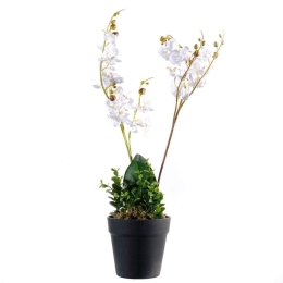 Τεχνητό Φυτό Ορχιδέα Phalaenopsis 2670-6 27x50cm White Supergreens Πολυαιθυλένιο