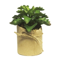 Τεχνητό Φυτό Παχύφυτο 7470-6 6x13cm Green Supergreens Πολυέστερ