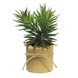 Τεχνητό Φυτό Παχύφυτο 8470-6 8x19cm Green Supergreens Πολυέστερ