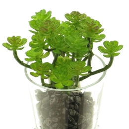 Τεχνητό Φυτό Παχύφυτο 8x16cm Green Supergreens Πολυέστερ