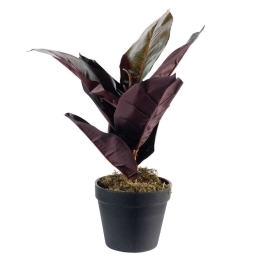 Τεχνητό Φυτό Φίκος Elastica Ruby 4670-6 15x36cm Multi Supergreens Πολυαιθυλένιο