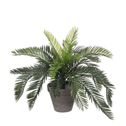 Τεχνητό Φυτό Φοινικόθαμνος 7670-6 44x44x37cm Green Supergreens Πολυαιθυλένιο