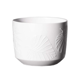 Κασπώ Κεραμικό 3560-8 14x14x12cm White Supergreens Κεραμικό
