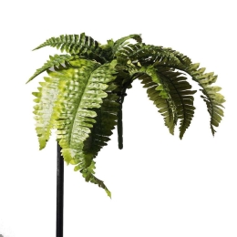 Τεχνητή Χωνευτή Φτέρη Boston 8131-7 24x29x52cm Green Supergreen Πολυαιθυλένιο