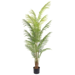 Τεχνητό Δέντρο Αρέκα 3860-6 70x70x200cm Green Supergreens Πολυαιθυλένιο