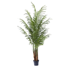 Τεχνητό Δέντρο Αρέκα 4860-6 80x80x210cm Green Supergreens Πολυαιθυλένιο