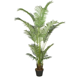 Τεχνητό Δέντρο Αρέκα 9130-6 90x90x170cm Green Supergreens Πολυαιθυλένιο