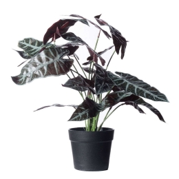 Τεχνητό Φυτό Αλοκάσια Amazonica Polly 9360-6 45x37x40cm Multi Supergreens Πολυαιθυλένιο