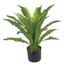 Τεχνητό Φυτό Ασπλήνιο Antiquum 9860-6 50x50x50cm Green Supergreens Πολυαιθυλένιο