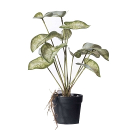 Τεχνητό Φυτό Καλάδιο Candidum Junior 0260-6 30x32x37cm Green Supergreens Πολυαιθυλένιο