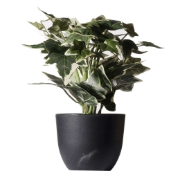 Τεχνητό Φυτό Κισσός Πανασέ 8060-6 17x21x30cm Green Supergreens Πολυαιθυλένιο