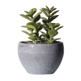 Τεχνητό Φυτό Κρασσούλα 8260-6 9x13,5cm Green Supergreens Πολυαιθυλένιο