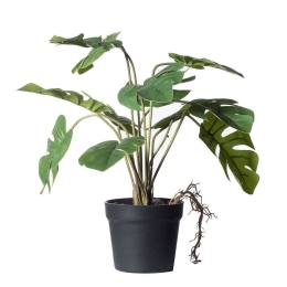 Τεχνητό Φυτό Μονστέρα Minima 1260-6 30x34x35cm Green Supergreens Πολυαιθυλένιο