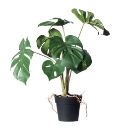 Τεχνητό Φυτό Μονστέρα Minima 1460-6 27x27x35cm Green Supergreens Πολυαιθυλένιο