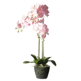 Τεχνητό Φυτό Ορχιδέα Με Βάση Moss 4170-6 39x25x85cm Pink Supergreens Πολυαιθυλένιο