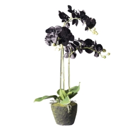 Τεχνητό Φυτό Ορχιδέα Με Βάση Moss 5170-6 39x25x85cm Black Supergreens Πολυαιθυλένιο