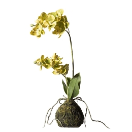 Τεχνητό Φυτό Ορχιδέα Με Βάση Moss 7070-6 20x20x40cm Green Supergreens Πολυαιθυλένιο