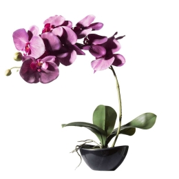 Τεχνητό Φυτό Ορχιδέα Με Κασπώ 2170-6 24x15x48cm Purple Supergreens Πολυαιθυλένιο