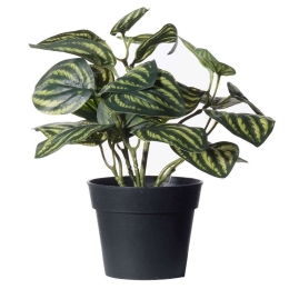 Τεχνητό Φυτό Πεπερόμια Watermelon 8160-6 24x24x25cm Green Supergreens Πολυαιθυλένιο