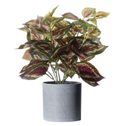 Τεχνητό Φυτό Περίλλα 6160-6 30x30x35cm Multi Supergreens Πολυαιθυλένιο