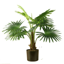 Τεχνητό Φυτό Πιτσάρδια 3350-6 50x50x65cm Green Supergreens Πολυαιθυλένιο