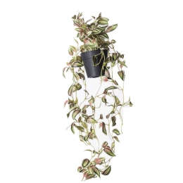 Τεχνητό Φυτό Πόθος 8360-6 20x20x72cm Multi Supergreens Πολυαιθυλένιο