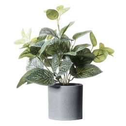 Τεχνητό Φυτό Πόλκα 2460-6 27x27x36cm Green Supergreens Πολυαιθυλένιο