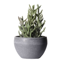Τεχνητό Φυτό Σενέκιο Vitalis 5260-6 9x18cm Green Supergreens Πολυαιθυλένιο