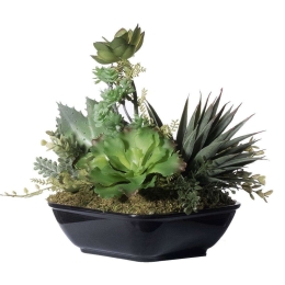 Τεχνητό Φυτό Σύνθεση Παχύφυτων 3360-6 17x18x19cm Green Supergreens Πολυαιθυλένιο