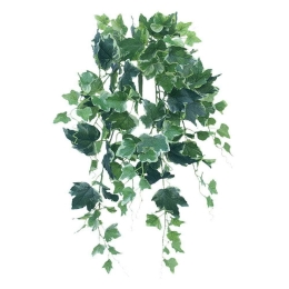 Τεχνητός Κρεμαστός Κισσός Πανασέ 8301-7 90cm Green Supergreens Πολυαιθυλένιο