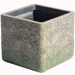 Κασπώ Πήλινο Βρύα D-2840-8 44x44x38cm Grey Supergreens Πηλός